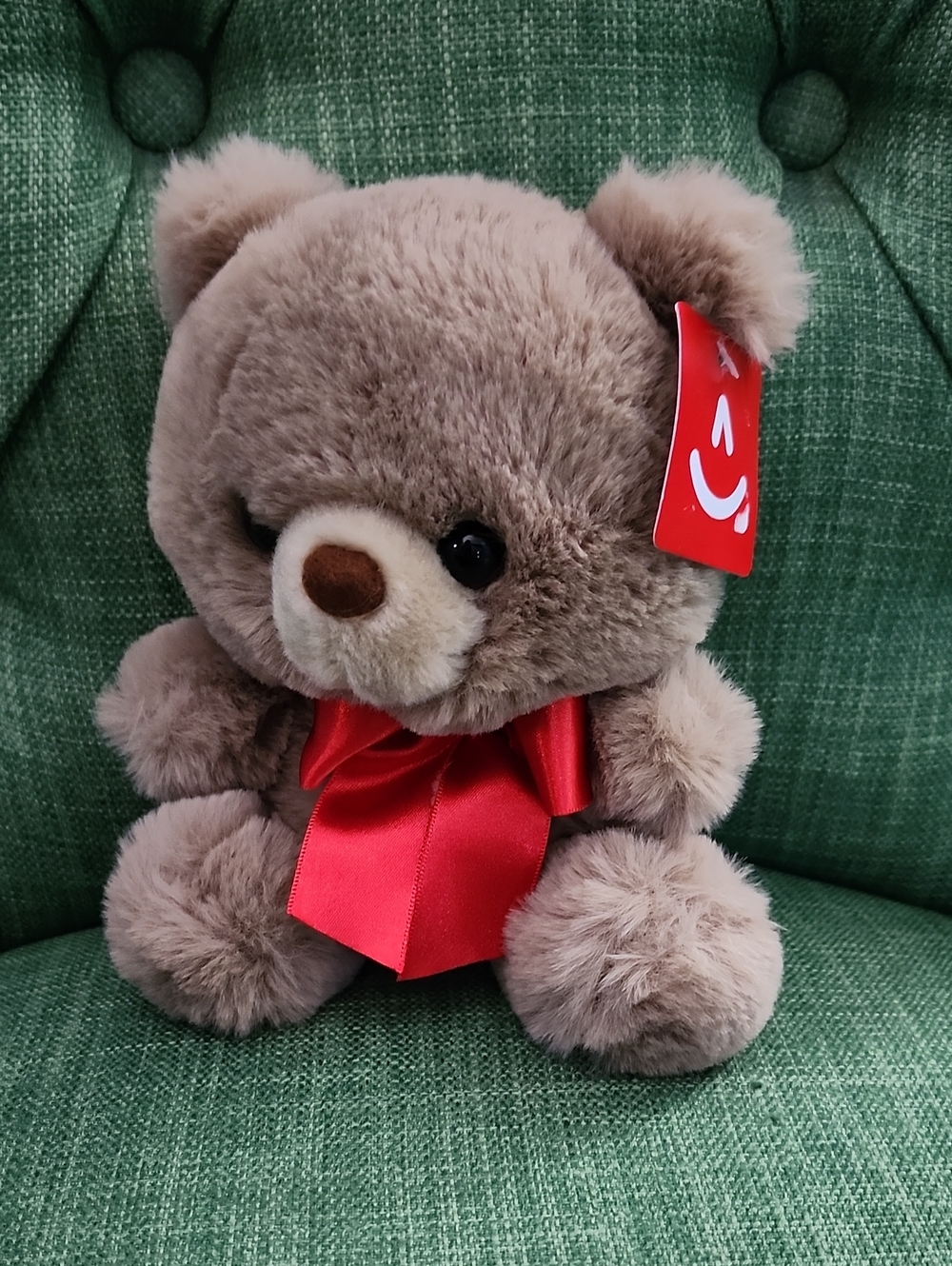 Plush Brown Teddy Bear with Red Bow
